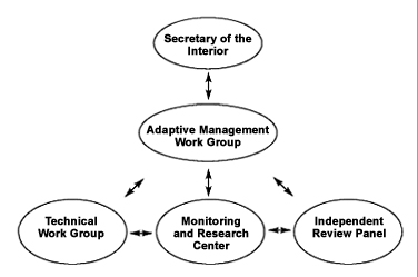 Structure of AMP