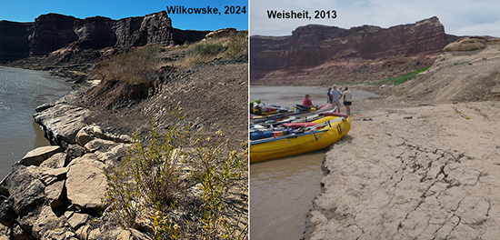 Repeat photography at the primitive ramp downstream of the Dirty Devil River