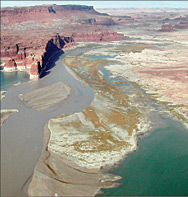 Sediment deposits at Lake Powell