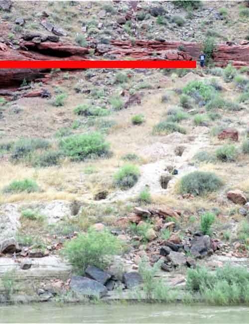 Excavating slackwater deposits on the Colorado River above Moab, Utah. Red line is the elevation of Probable Maximum Flood (~300,000 cfs), which has occurred 3 times in the last 2,000 years.